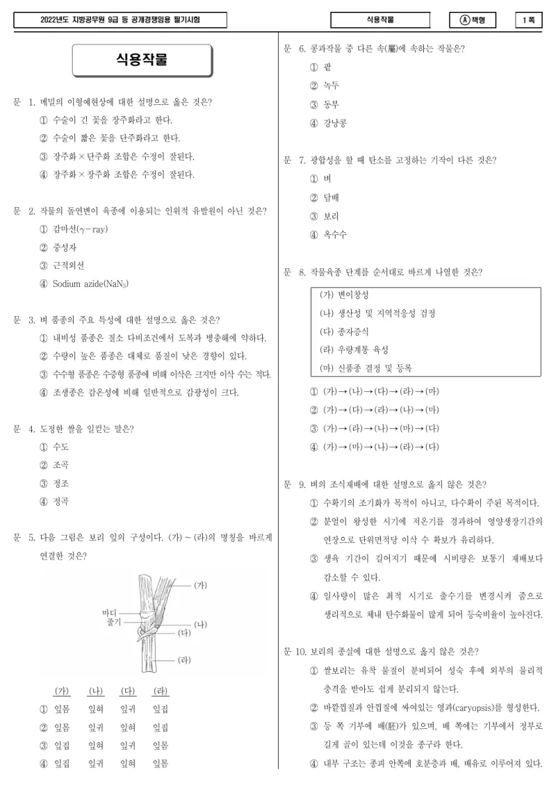 9급 지방직 식용작물 2022년 시험지 1쪽