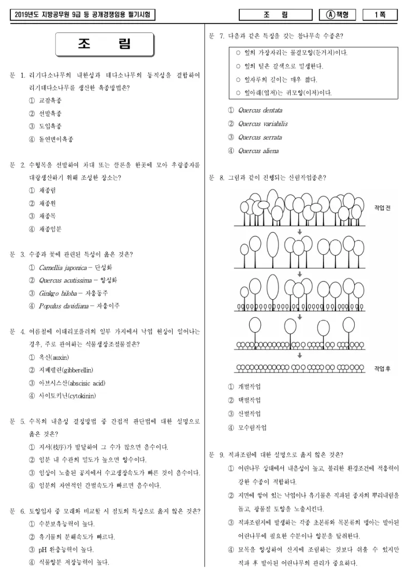 9급 지방직 조림 2019년 시험지 1쪽